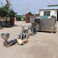 Ligne de production commerciale automatique de beurre d'arachide à petite échelle de qualité alimentaire machine de fabrication de beurre d'arachide salé à vendre