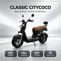 Vente en gros OEM : Trottinette électrique à pneus larges 60V 2000W, batterie LFP 20.8Ah, longue autonomie, Citycoco E-Scooter pour fournisseurs B2B