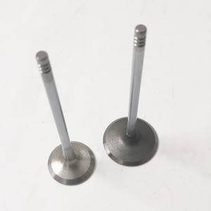 55194219 55200334 55219143 55200335 55200422 soupape d'échappement d'entrée pour <span class=keywords><strong>Fiat</strong></span> 55219144 <span class=keywords><strong>GRANDE</strong></span> <span class=keywords><strong>PUNTO</strong></span> 500 1.4 A4.000 169 A4.000 - Product Image 6