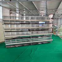 Équipement d'élevage avicole : Cage à batterie pour poules pondeuses, Cage métallique pour poules pondeuses, Poulailler métallique à vendre
