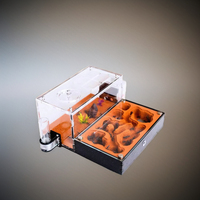 Petite fourmilière en plastique pour nid de colonie de fourmis d'élevage de fourmis en formicarium pour l'école, les sciences, les reptiles et les poissons pour le salon