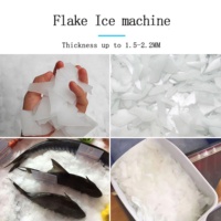 Machine à glace en flocons commerciale de 100 kg, prix d'usine, machine à glace en flocons industrielle robuste pour la transformation des produits de la mer et alimentaire
