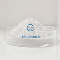 Poudre d'éthylcellulose de qualité industrielle CAS 9004-57-3 à prix avantageux