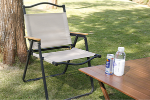 Chaises pliantes d'extérieur en acier, chaises de camping portables pliantes de type Kermit - Product Image 2