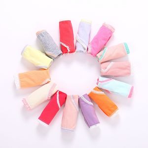 12 टुकड़े कारखाने की बिक्री छोटी लड़की बॉक्सर शॉर्ट्स - Product Image 3