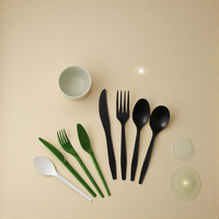 Ensemble de couverts biodégradables en PLA, sans BPA, écologiques, jetables, Greenday Custom, cuillère à café, cuillère à thé, couteau, fourchette, cuillère