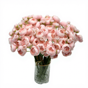 Ramo de Flores Artificiales de Tallo Corto, Mini <span class=keywords><strong>Echeveria</strong></span>, Camelia, Rosa Ciruela, 6 Cabezas, Hecho a Mano, para Decoración de Bodas y Hogar - Product Image 5