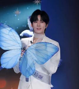 Pernikahan Romantis Populer yang Baru Diluncurkan, Pesta yang Menyenangkan, Suasana Pertunjukan <span class=keywords><strong>Program</strong></span>, Lampu Kupu-kupu yang Bercahaya - Product Image 2