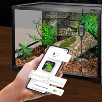 Contrôleur de température pour reptiles REPTIZOO, thermomètre hygromètre WiFi avec surveillance en temps réel, synchronisation des données sur le cloud, enregistrement des données, vente en gros OEM