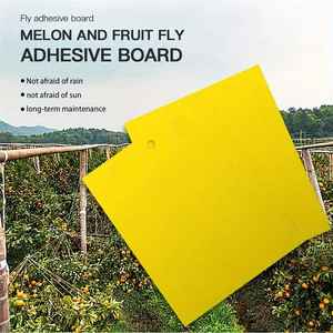 Pas cher Vente en gros Piège à colle jaune collant pour insectes volants Pièges à colle jetables Pièges à mouches à fruits naturels Pièges à insectes collants jaunes - Product Image 1