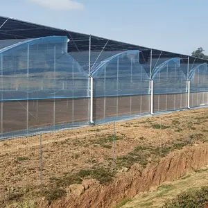New Multi-Span Steel Greenhouse With Plastic Film For Vegetable Seeds And Agriculture For Farms