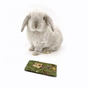 Thú Cưng Thỏ Hamster Rồng Mèo Chuột Guinea Lợn Thỏ Chất Dinh Dưỡng Sức Khỏe Broiler Snack, Timothy Hay - Product Image 6