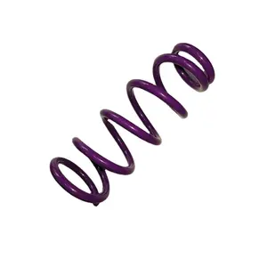 Best Selling Durable Purple 48131-12C30 Suspension Coil Spring for Cars