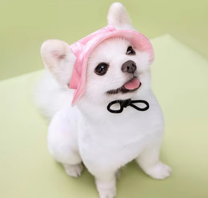 Haute qualité mignon réglable coton <span class=keywords><strong>SunCap</strong></span> pour animaux de compagnie princesse chien chapeau avec cravate noeud papillon respirant Protection solaire pour l'automne - Product Image 5