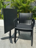 Table et chaises pliantes d'extérieur en plastique à motif bambou tendance pour cours, jardins, cafés et salons de thé