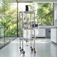 Réacteur à cuve agitée continue à haute efficacité avec PLC automatique, en verre borosilicaté 3.3, 5L, avec pompe à vide à chemise motorisée