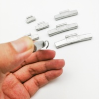 Wheelsky Factory Wholesale 5g to 60g Gram Tire Balancing Weights Fe Steel Clip on Wheel Weights