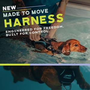 Harnais sans traction réglable adapté à l'entraînement, la rééducation et l'obéissance des chiens | pour chiens de 10 à 225 lb - Product Image 4