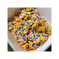 1kg Ronde Schijfjes Fruit Sinaasappelschijfjes Slijm Vulling DIY Knutselwerk Kinder Speelgoed Stressverlichting Feestdecoratie