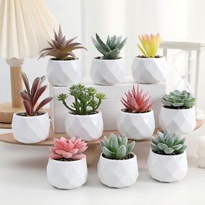Mini Piante Succulente Artificiali in Vaso - Vaso in Ceramica Bianca con Succulente Finte per Decorazione Casa e Scrivania - Product Image 6