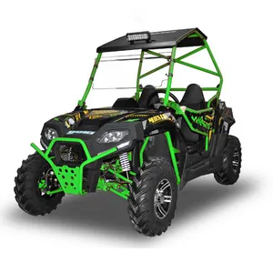 Dune Buggy 250cc Utv Diferensial 2 Dudukan dengan EPA, Murah 4X2