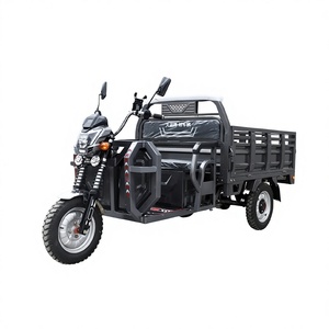 Triciclo de 12V con Carrocería Abierta, Alta Capacidad de Carga 400kg+, Autonomía de 30-50km, Homologación EEC - Product Image 2