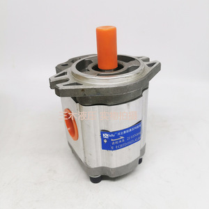 Pompe à engrenages hydraulique Luosheng CBTD-F425 ALH4L 250 bars, 1 étage, entraînement électrique - Product Image 2