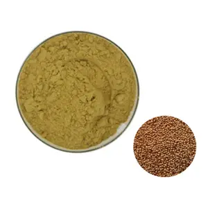 High Quality 20:1 Mustard Extract Powder Brassica Alba Extract Powder Mustard Extract