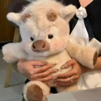 Peluche de Panda Corriendo - Súper Suave, Relleno de Poliéster y Algodón PP, Bordado, Compañero de Sueño Relajante, Unisex, Ideal para Cumpleaños