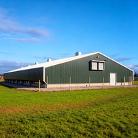 Bâtiment commercial préfabriqué en acier à faible coût, hangar à poulets, structure en acier pour élevage avicole