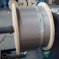Câble en acier inoxydable de haute qualité AISI 304 304L 316, nouveau stock important, prix fabricant Chine