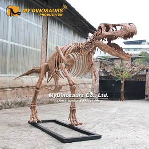 Modelo Educativo de Dinosaurio Z My <span class=keywords><strong>Dino</strong></span> DS-062, Esqueleto de Dinosaurio <span class=keywords><strong>3D</strong></span> de Tiranosaurio <span class=keywords><strong>Rex</strong></span> - Product Image 1
