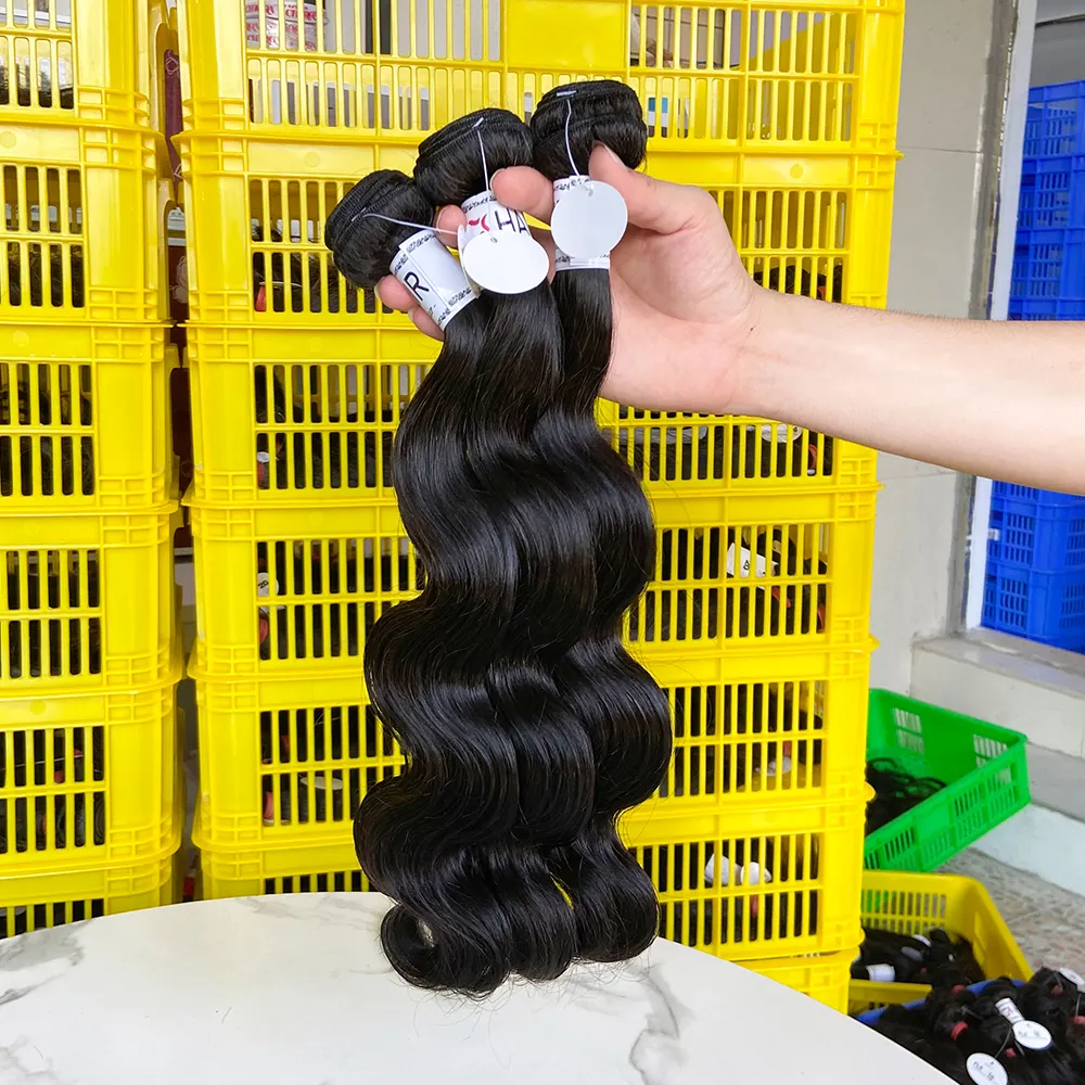 Private label vendors china wholesale 100% brazilian free sample remy curly human extension indian wave natural hair extensions