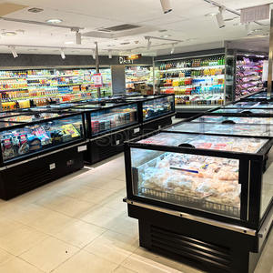 תצוגת מזון קפוא מסחרי חזה משולב סוג סופרמרקט - Product Image 5