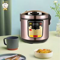 Appareils de cuisine à Dubaï, cuiseur à riz automatique avec thermostat, cuiseur à riz automatique de luxe de 5 L