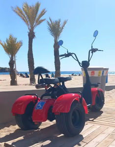 Scooter à 3 roues homologué EEC, 1500 W, tricycle, chariot de golf, scooter électrique - Product Image 4