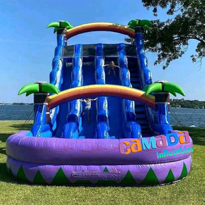 Tobogán Acuático Inflable Comercial para Adultos, Castillo Inflable con Piscina, Tobogán Acuático Inflable de <span class=keywords><strong>Tres</strong></span> Carriles - Product Image 1