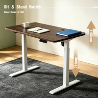 Bureau informatique électrique intelligent réglable en hauteur avec moteur brushless unique, capacité de charge 100 kg