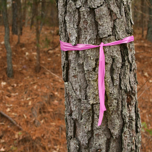 1inch Wide *50 Yds/roll <strong>PVC</strong> Flagging <strong>Tape</strong> Non Sticky Durable and Waterproof Pink Outdoor Line Boundary Trail Marker <strong>Tape</strong> - Product Image 6