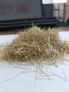 Cường độ cao 10mm sợi thép gia cố cho xây dựng cầu mạ đồng bền chống ăn mòn tiêu chuẩn quốc gia - Product Image 2