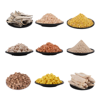 Vente en gros d'aliments pour animaux domestiques Cubes de poulet lyophilisés Friandises pour chats lyophilisation Viande de saumon Collations pour chiens animaux de compagnie