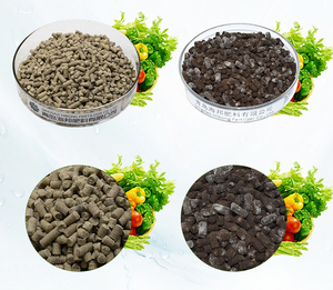 ปุ๋ยเม็ดแบคทีเรียอินทรีย์สำหรับพืชอวบน้ำปุ๋ยดินทางการเกษตร - Product Image 2