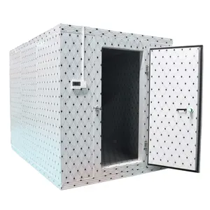 Walk in Cooler Panels Unidad de refrigeración de cámara fría Puerta corredera Almacenamiento en frío para carne/fruta/verdura