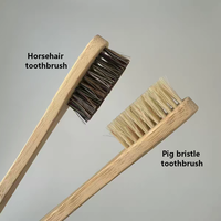 Brosse à dents en poils de porc naturels, poils de cheval, biodégradable, respectueuse de l'environnement, sans BPA, sans plastique, manche en bambou