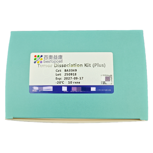 Tumor dissoziation skit (Plus) (10 <span class=keywords><strong>TEST</strong></span>) Dissoziation des Gewebes für die Forschung ISO 9001 BA3349 - Product Image 2