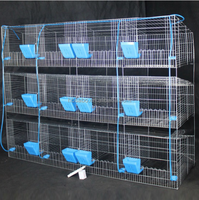 Nouvelle cage d'élevage de lapins en acier galvanisé, ensemble complet 9 ou 12 cellules, 4 niveaux, avec contrôle précis de la température et système d'alimentation automatique