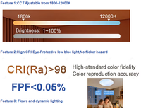 CE SAA LED Smart Blue Sky Lights Artificielle Skylight Sky Light pour Salon Bureau Étude Salle de Bains Lumière du Soleil Naturelle