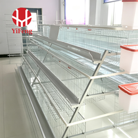 Cage à poules pondeuses conventionnelle à 3 niveaux en fil galvanisé, équipement d'élevage avicole, abreuvoir à tétine, mangeoire pour poules pondeuses