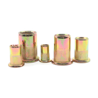 M3-M14 Stainless Steel Rivet Nut With Flat Head and Knurled Body Fastener Type Steel