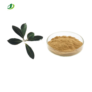 Extracto Natural de Yerba Mate en Polvo, Extracto de <span class=keywords><strong>Ilex</strong></span> Paraguariensis TLC 10:1 - Product Image 1